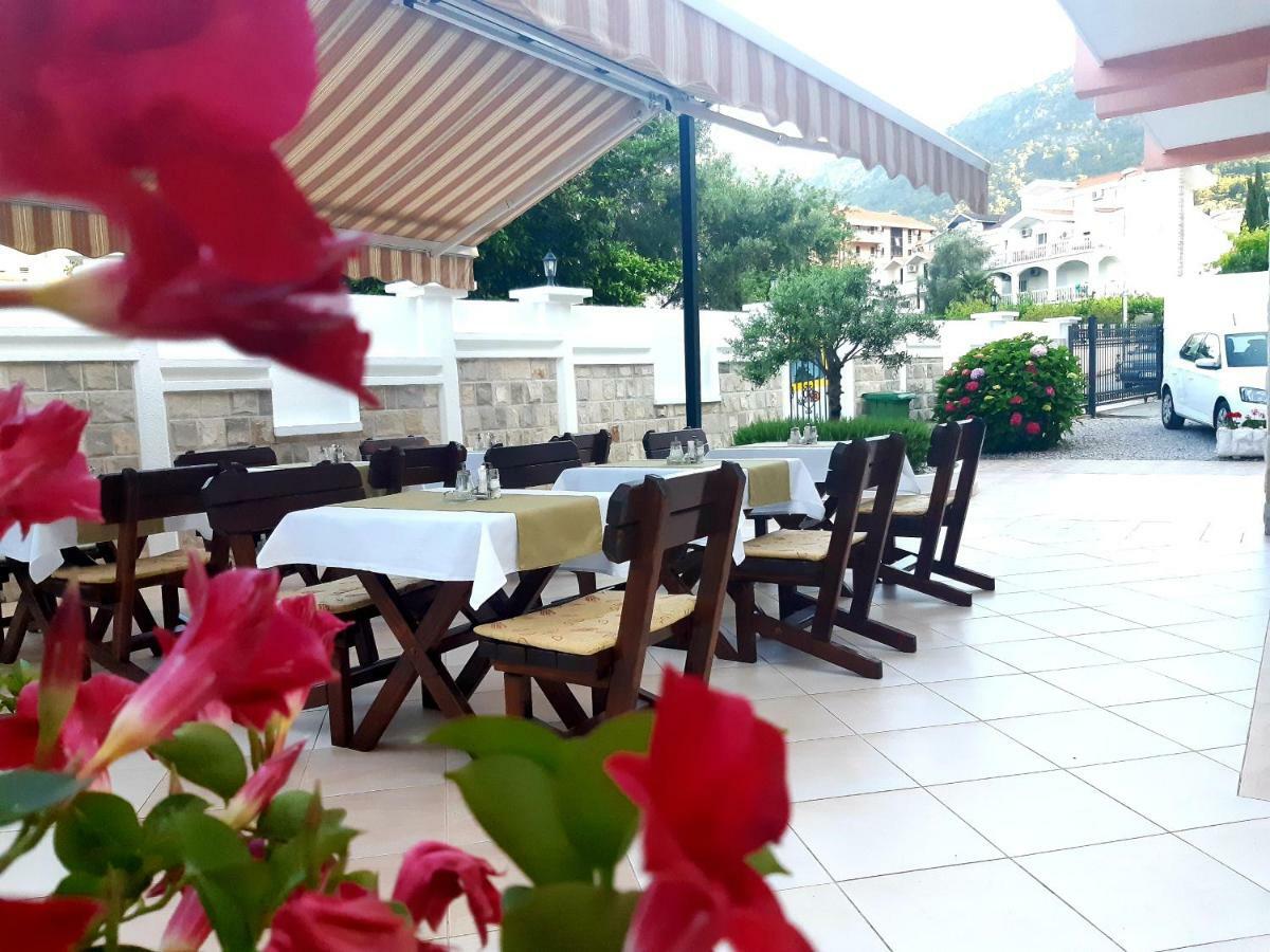 Garni Koral 3* בודווה